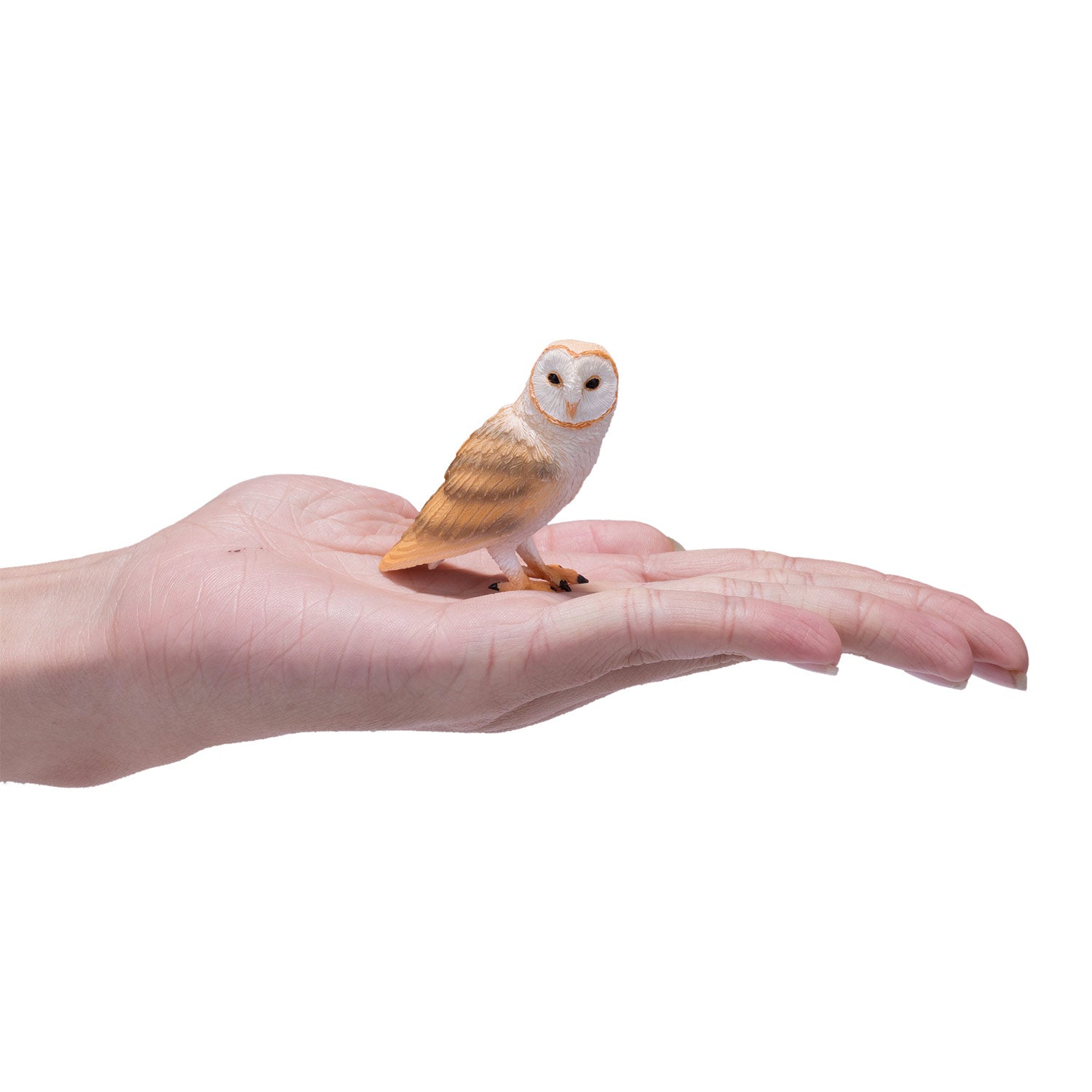 MOJO Barn Owl