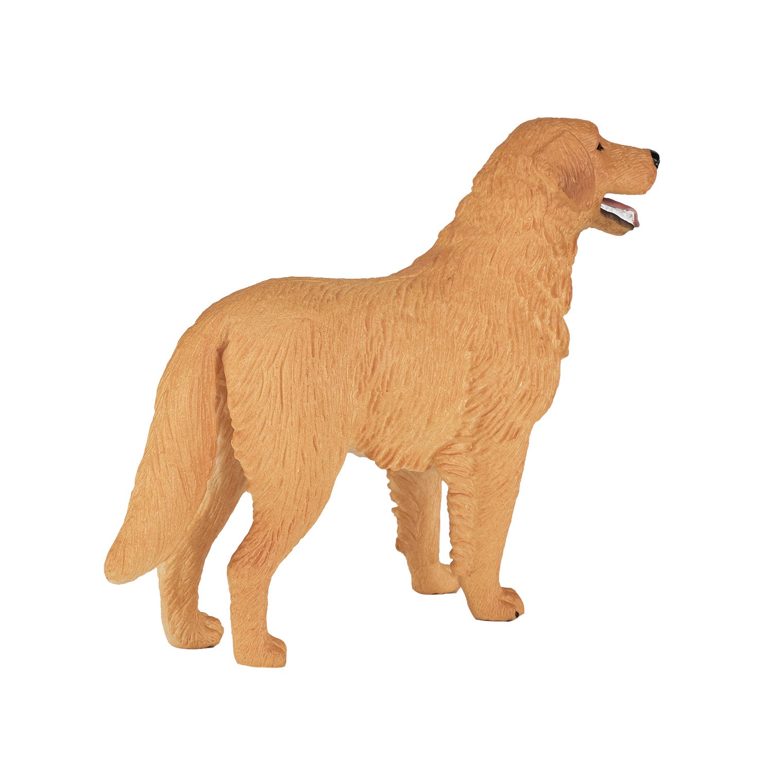 MOJO Golden Retriever