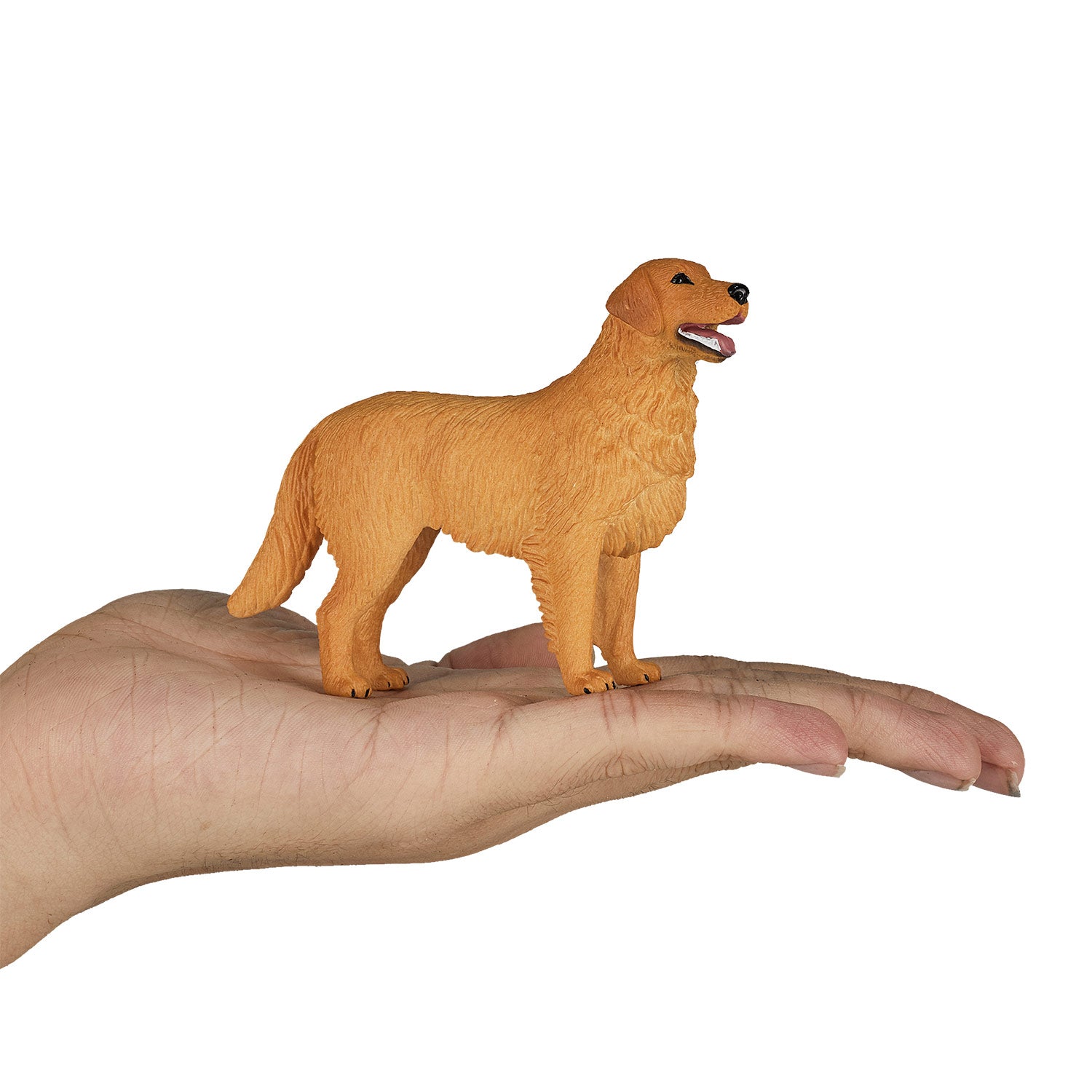 MOJO Golden Retriever