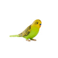 MOJO Budgerigar Parakeet Figure