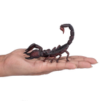 MOJO Emperor Scorpion