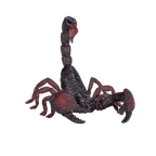 MOJO Emperor Scorpion