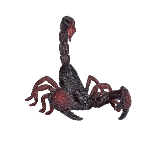 MOJO Emperor Scorpion