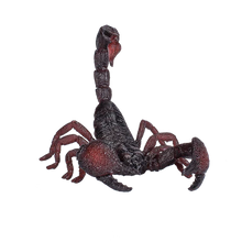 MOJO Emperor Scorpion