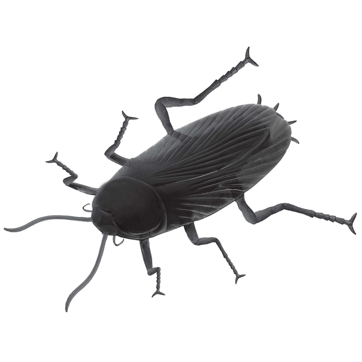 Giant Cockroach Plastic Prop 29Cm