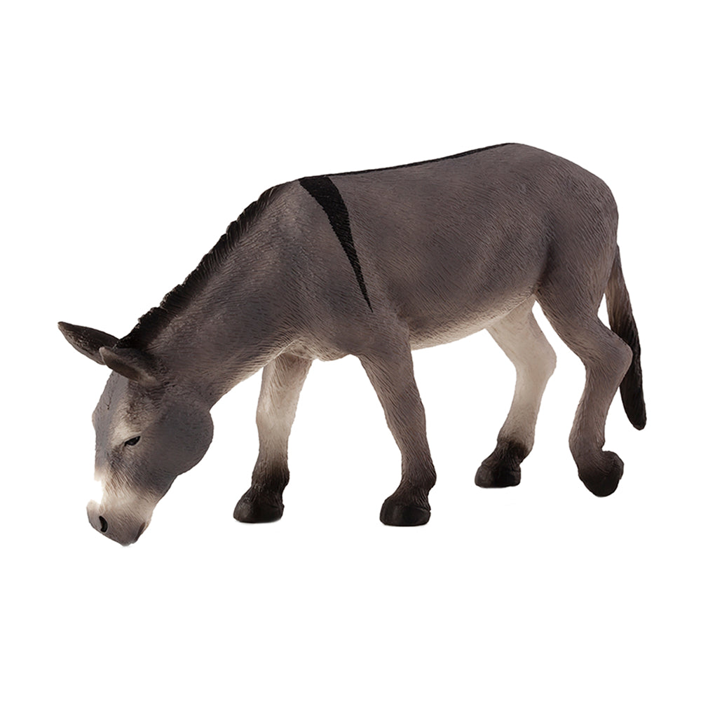 Donkey Feeding