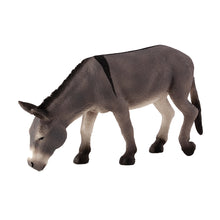 Donkey Feeding