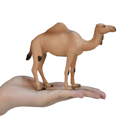 موجو الجمل العربي