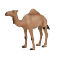 MOJO Arabian Camel