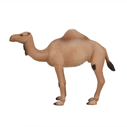 موجو الجمل العربي