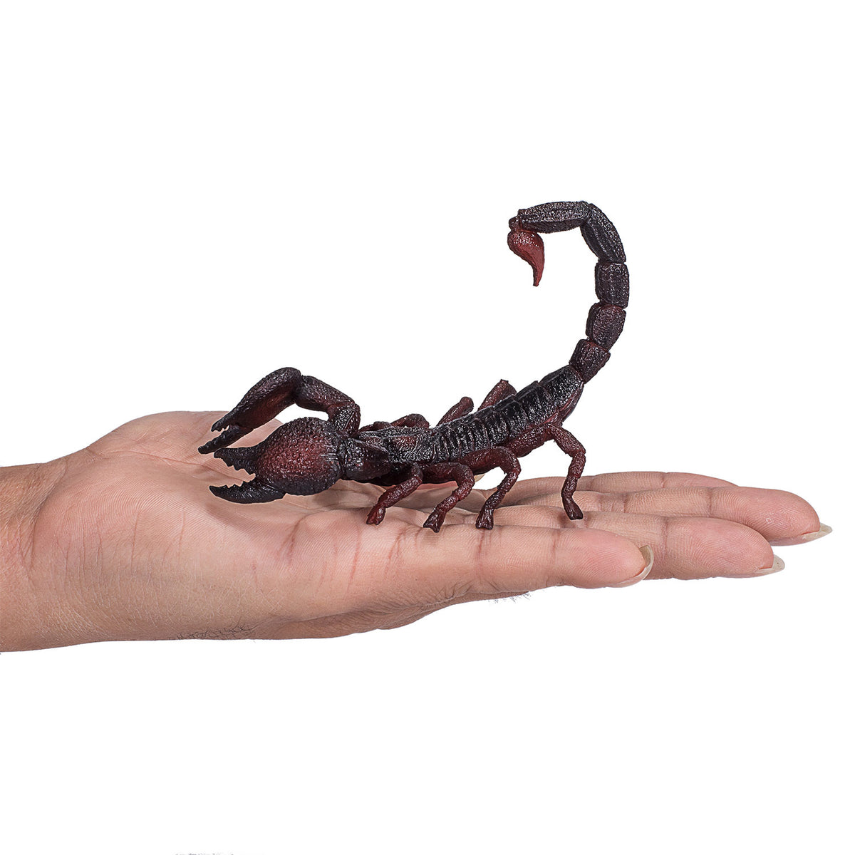 MOJO Emperor Scorpion