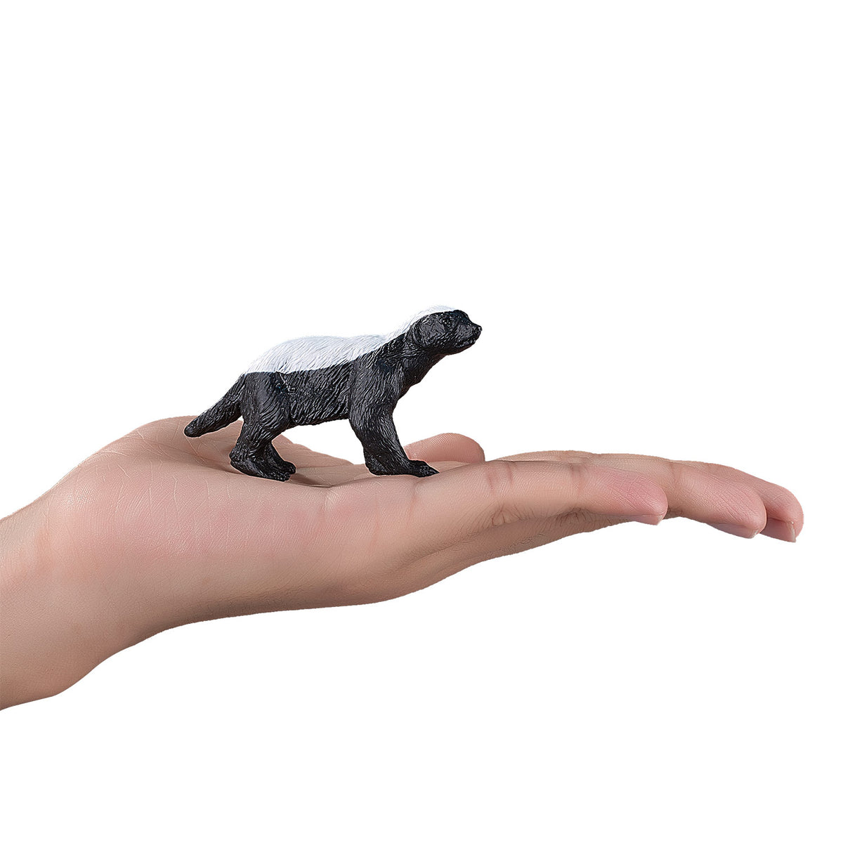 Mojo Wildlife Honey Badger Male Figure (3+ Years)