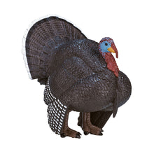 MOJO Toy School Male Turkey Figure (3+ Years)