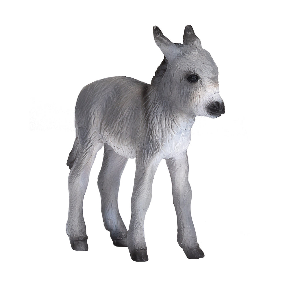 Donkey Foal