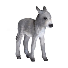 Donkey Foal
