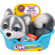 Little Live Pets My Really Real Puppy Mini Aurora the Husky (5+ Years)