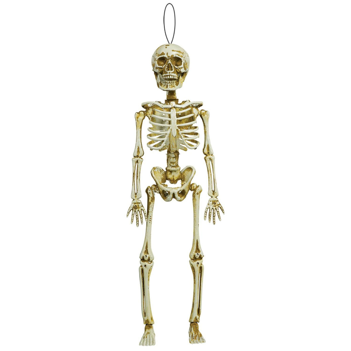 Boneyard Natural Bone Skeleton Hanging Decoration 39Cm