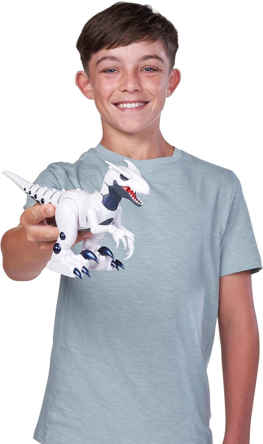 Robo Alive S1, Raptor