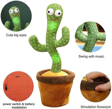 Music Swing Recording Cactus With Rings