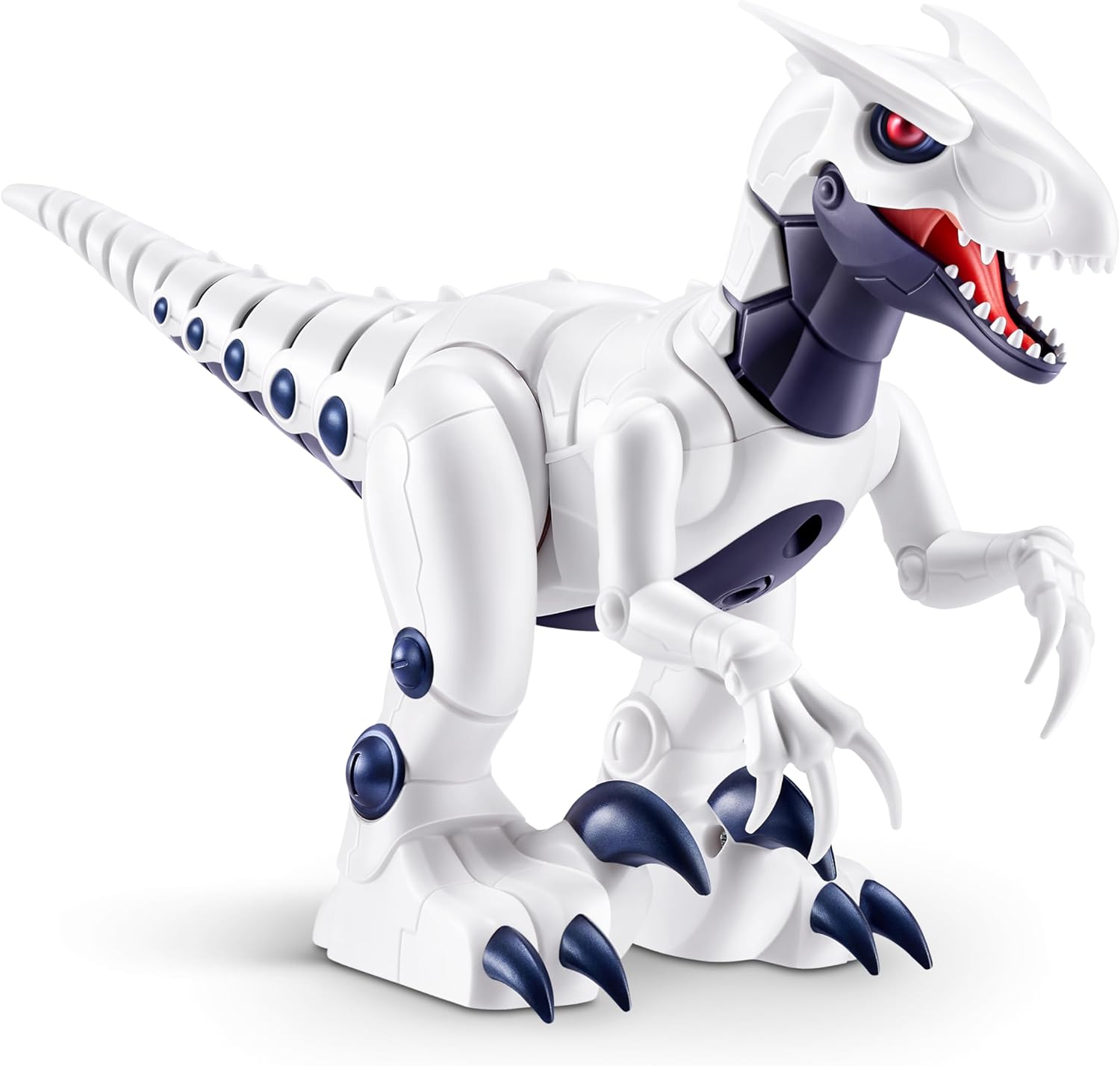 Robo Alive S1, Raptor