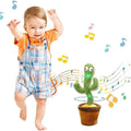 Music Swing Recording Cactus With Rings