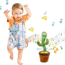 Music Swing Recording Cactus With Rings