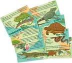 4M Mould & Paint Reptile & Amphibian