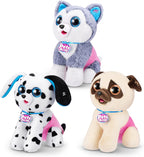 S001-PETS ALIVE-POOPING PUPPIES- S1