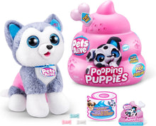 S001-PETS ALIVE-POOPING PUPPIES- S1