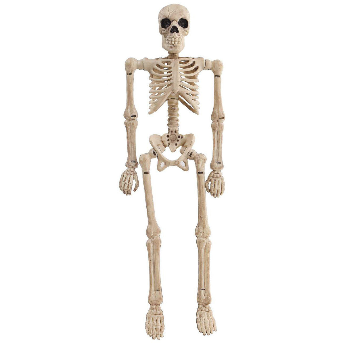 Mini Skeleton 8 Inches