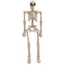 Mini Skeleton 8 Inches
