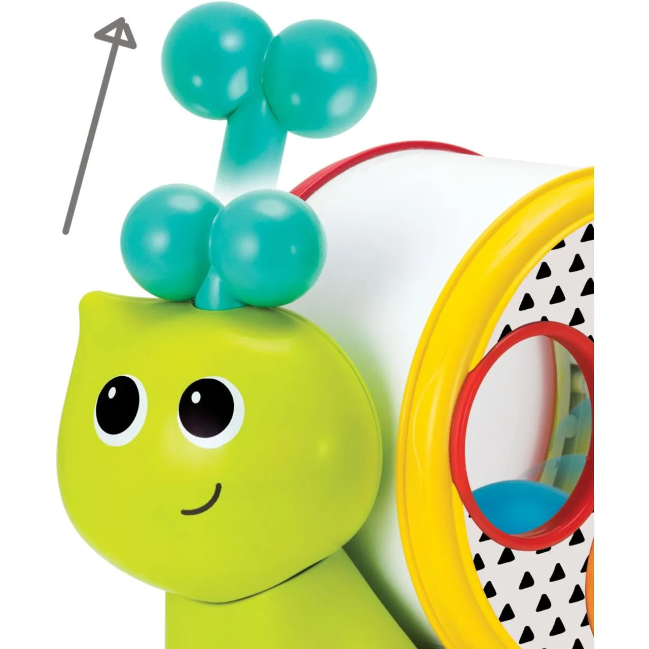 SPEEDY'S MAGICAL SHELL