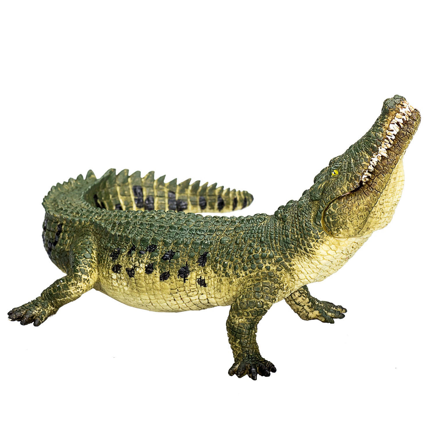 MOJO Crocodile with Articulated Jaw Wildlife Figure