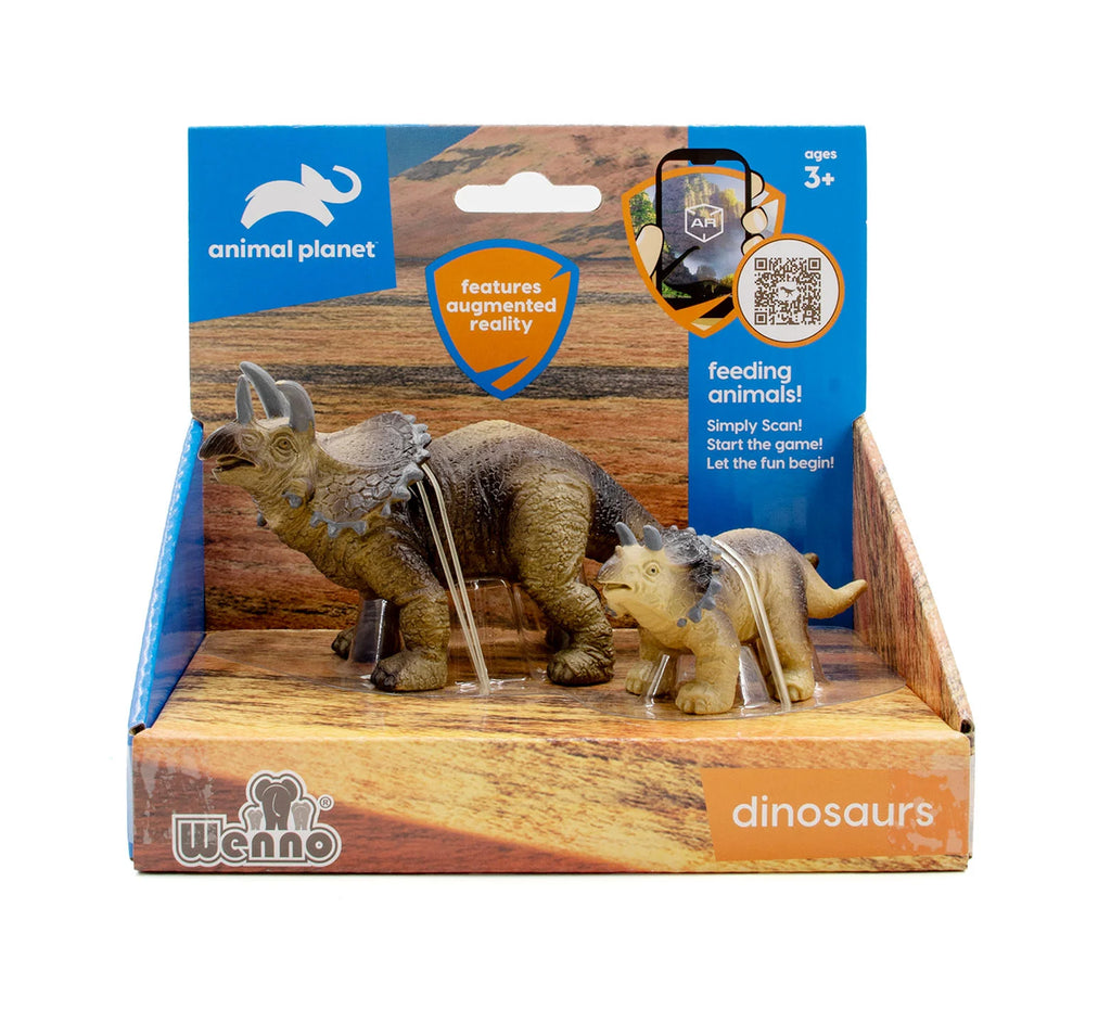 2 pcs Triceratops in open touch box