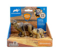2 pcs Triceratops in open touch box