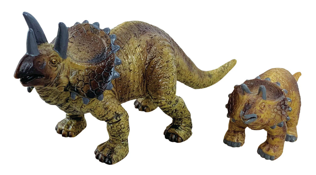 2 pcs Triceratops in open touch box