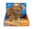 2 pcs Tyrannosaurus in open touch box