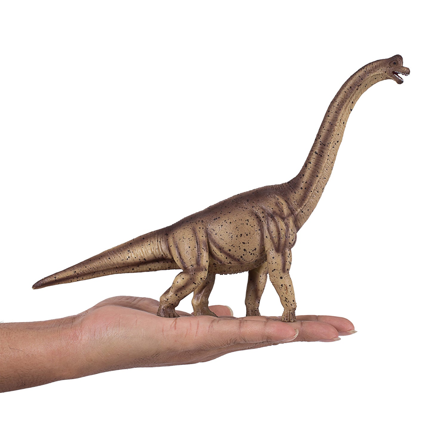 MOJO Deluxe Brachiosaurus Dinosaur Figure Realistic Prehistoric Toy