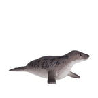 MOJO Wildlife Grey Seal Figure – Hand-Painted Marine Animal Model 11cm