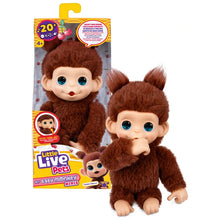 Little Live Pets My Baby Monkey Minis Chikki Cherry Interactive Monkey