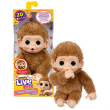 Little Live Pets My Baby Monkey Minis Pepi Peach Interactive Monkey