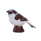 MOJO XL House Sparrow Bird Figure Hand-Painted Wildlife Model