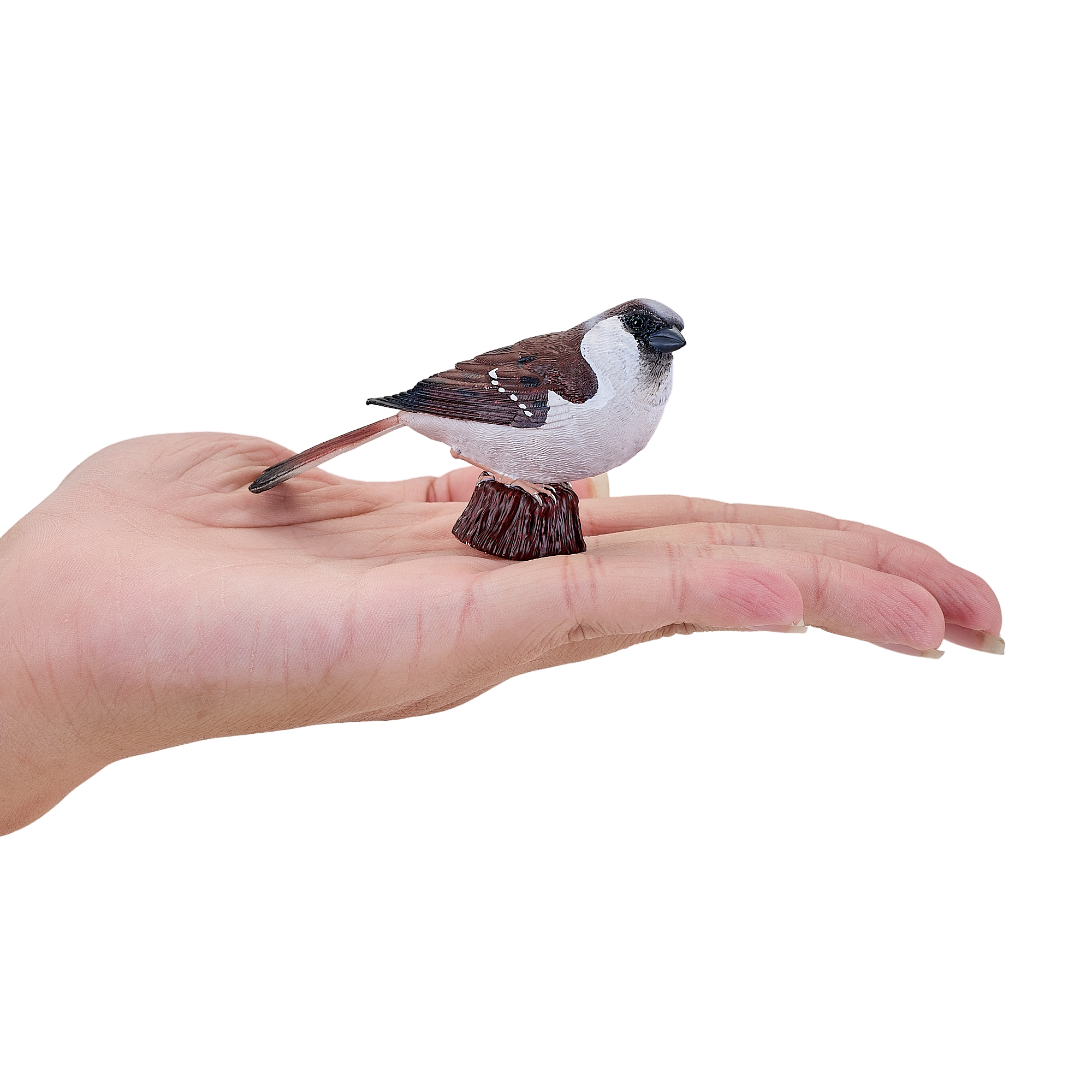 MOJO XL House Sparrow Bird Figure Hand-Painted Wildlife Model