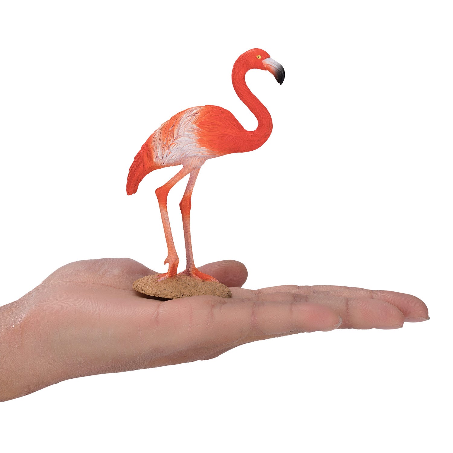 MOJO American Flamingo