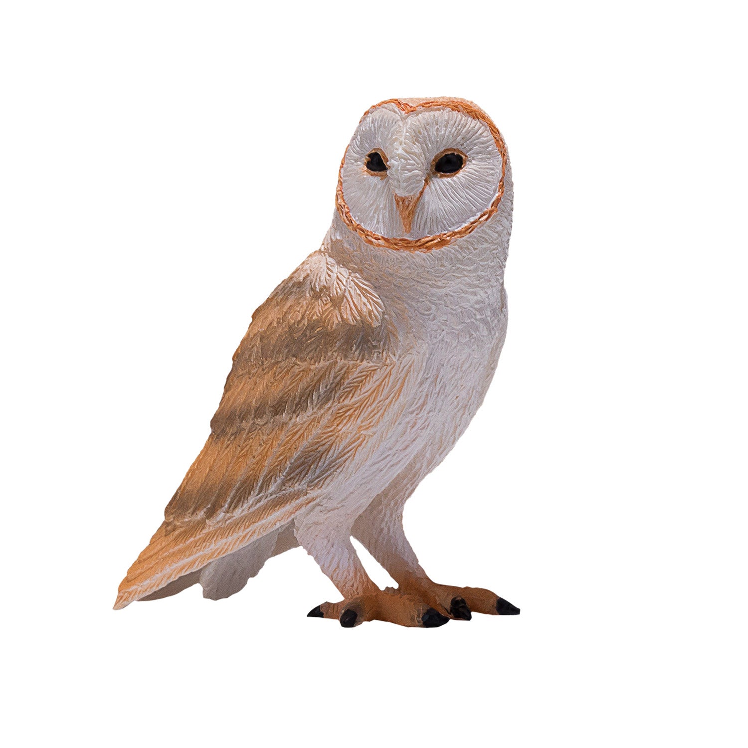 MOJO Barn Owl