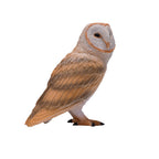 MOJO Barn Owl