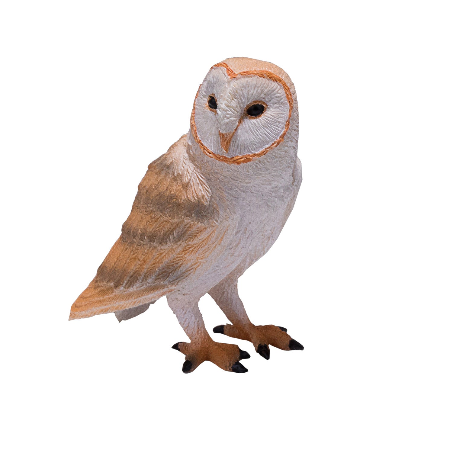 MOJO Barn Owl