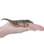 MOJO Perentie Lizard Figure Hand-Painted Reptile Wildlife Model