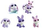 Scruff A Luvs S2 Bunny