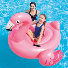 Intex Inflatable Flamingo